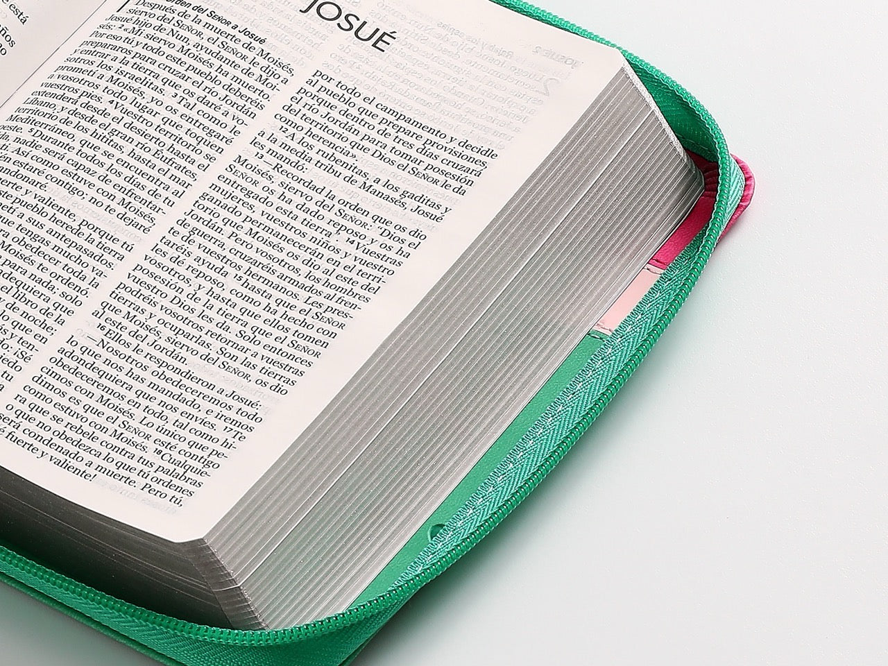 Biblia NVI Peninsular Portátil Letra Grande Tricolor Rosa