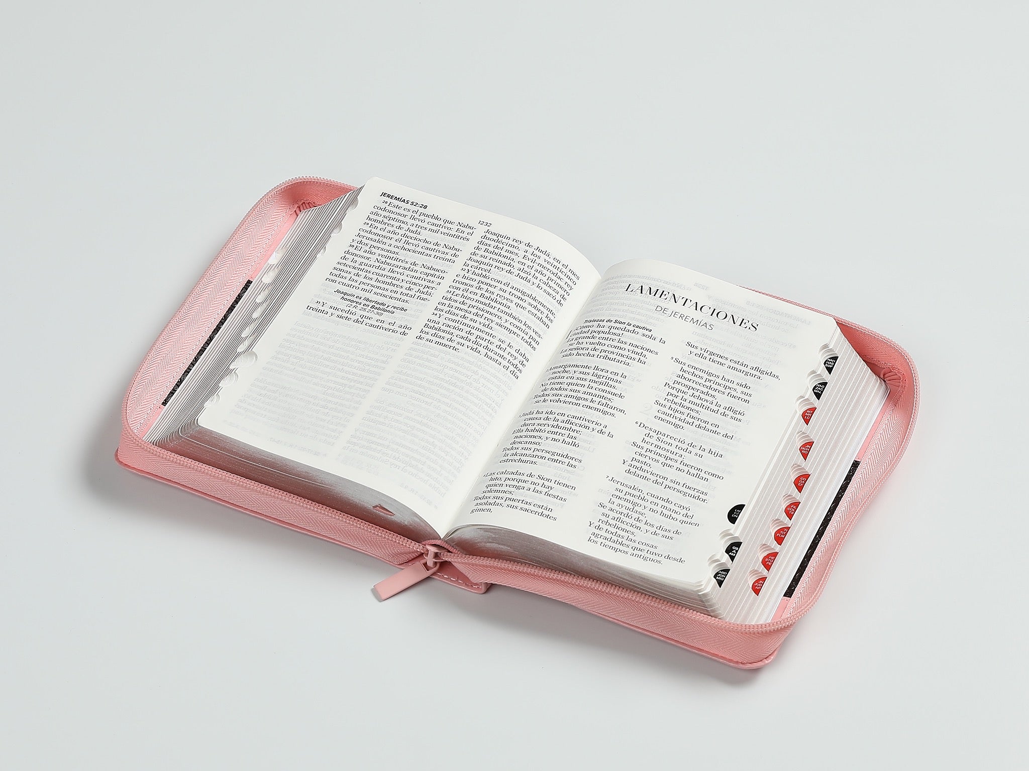 Biblia RVR60 portátil Letra Grande 11 puntos con Rosa