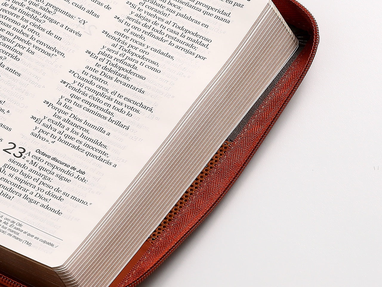 Biblia NVI Peninsular tamaño manual letra grande Tricolor café