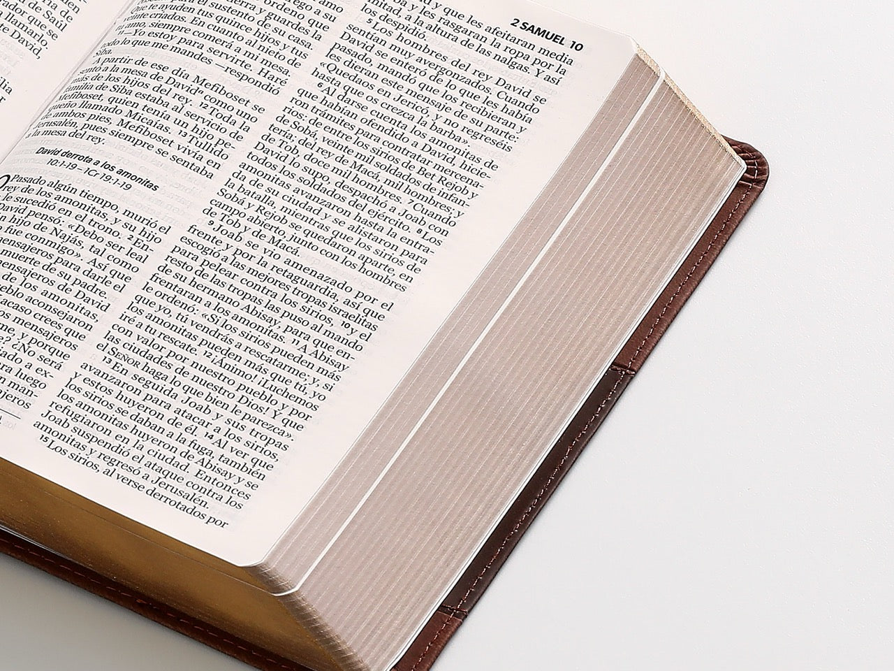 Biblia NVI Peninsular Portátil Letra GRande Café