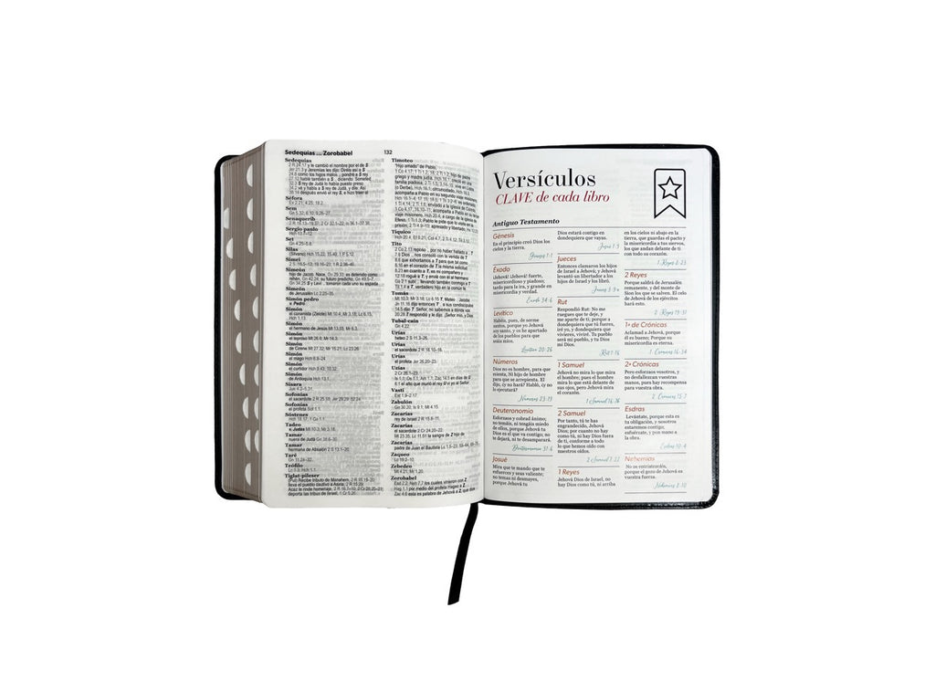 Biblia RVR60 Tamaño Manual Letra Grande indice negro