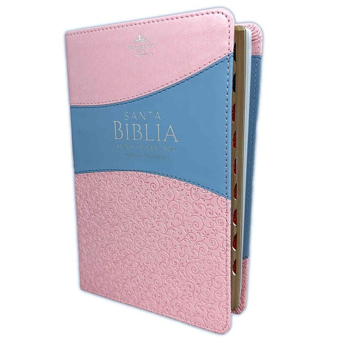 Biblia RVR60 Tamaño Manual Letra Grande azul