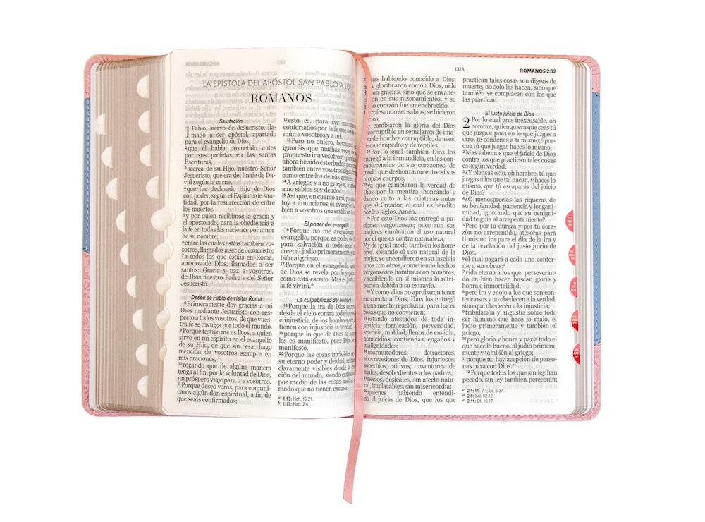 Biblia RVR60 Tamaño Manual Letra Grande azul