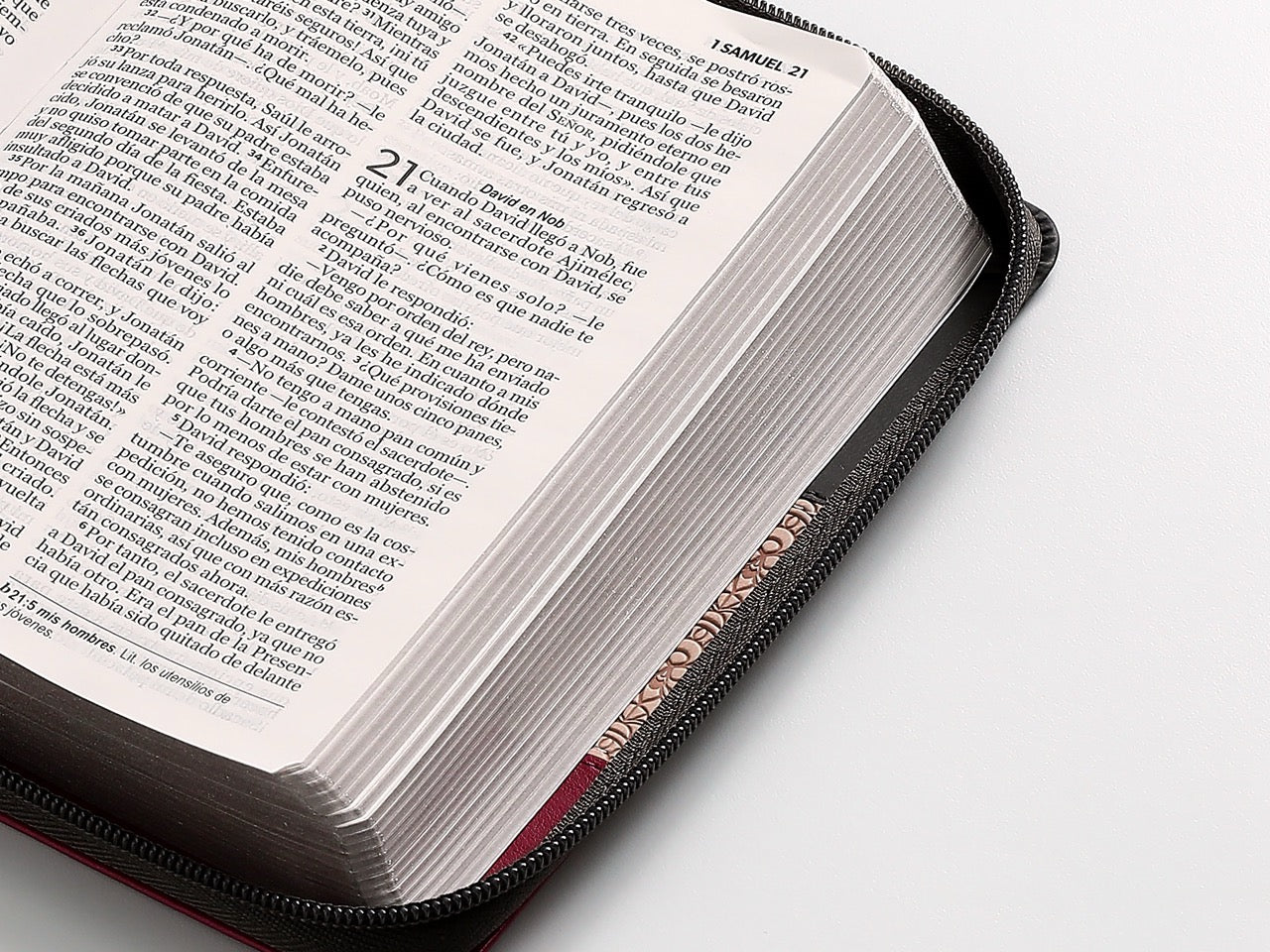 Biblia NVI Peninsular Portátil Letra Grande Tricolor NEgro