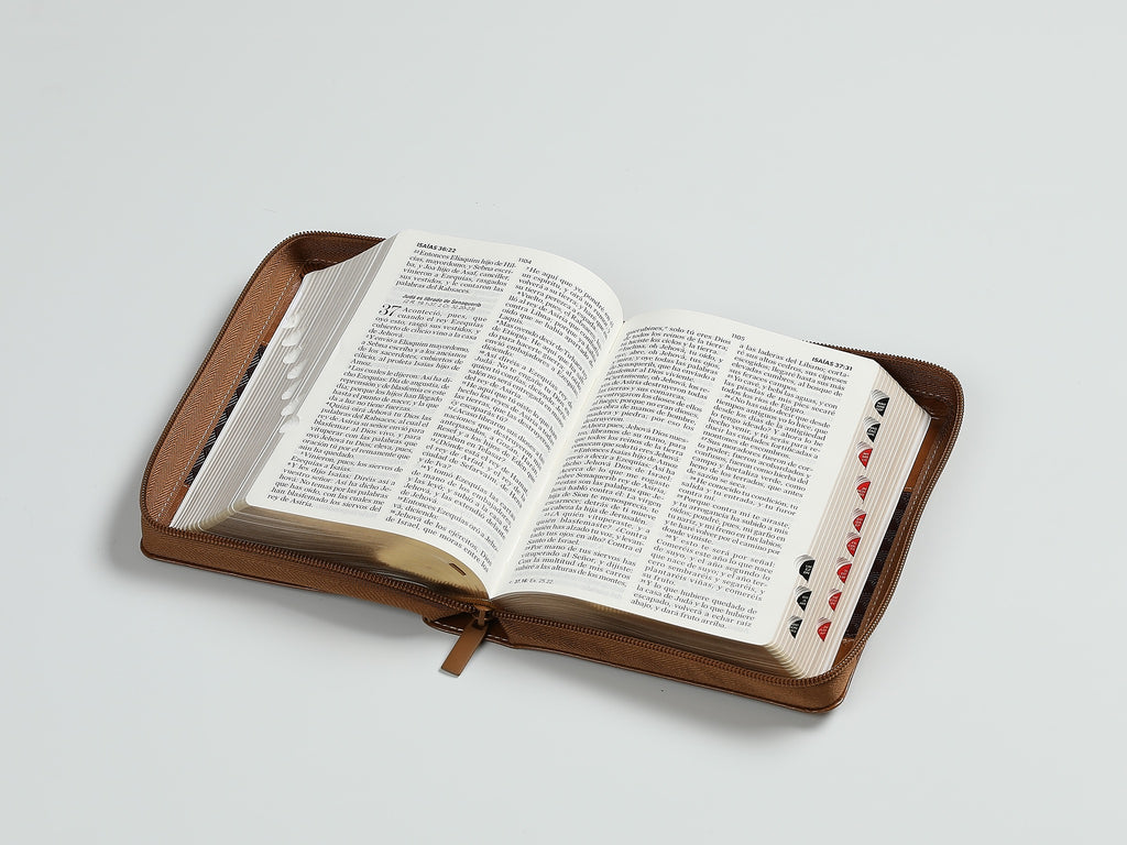 Biblia RVR60 portátil Letra Grande 11 puntos con Café