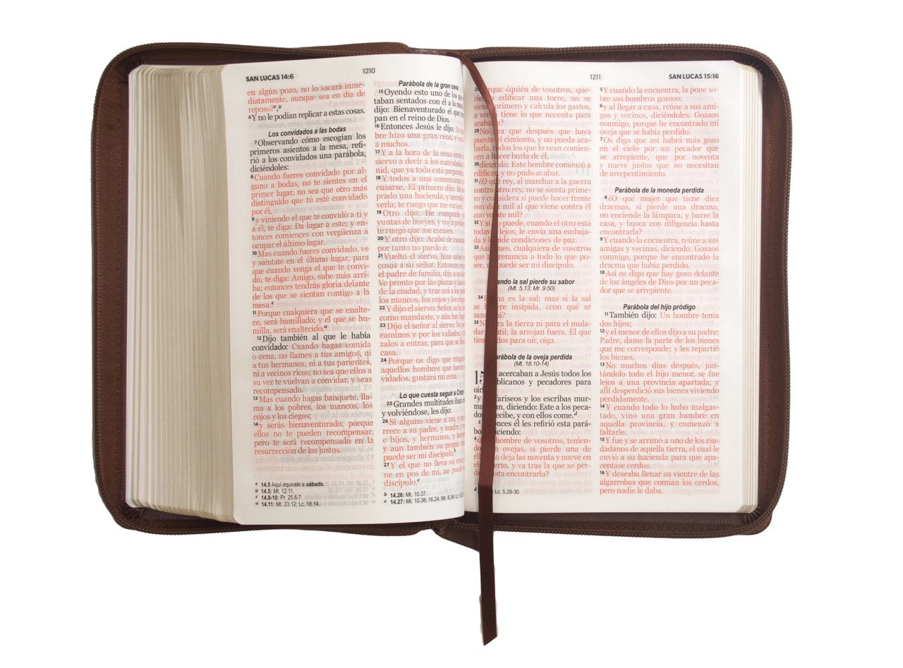 Biblia RVR60 Tamaño Manual Letra Grande café