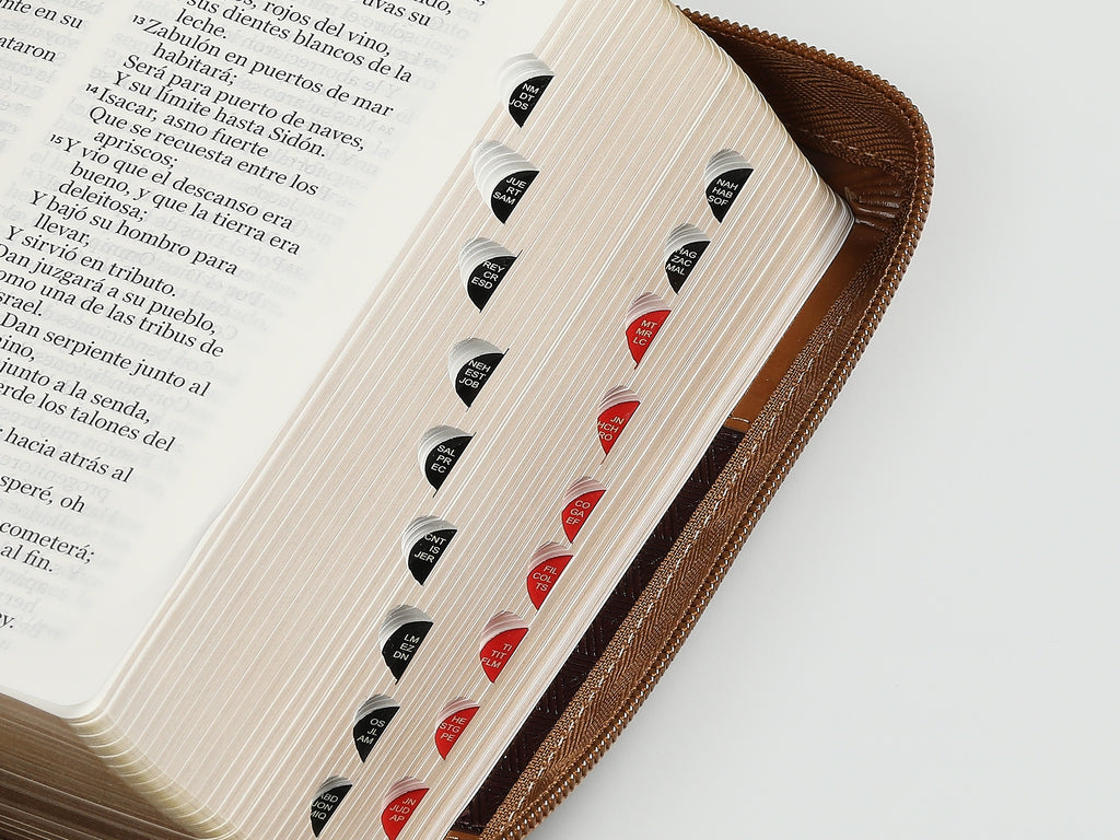 Biblia RVR60 portátil Letra Grande 11 puntos con Café