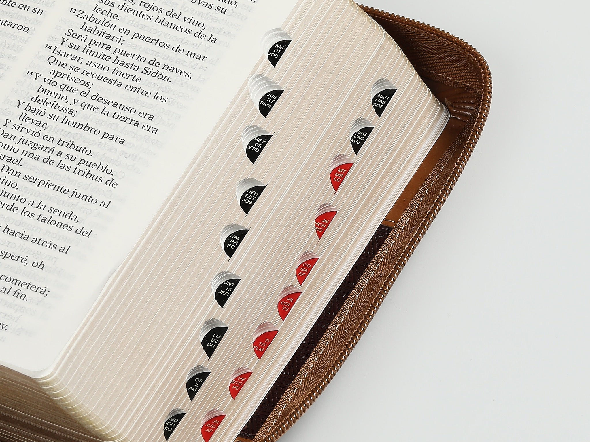 Biblia RVR60 portátil Letra Grande 11 puntos con Café