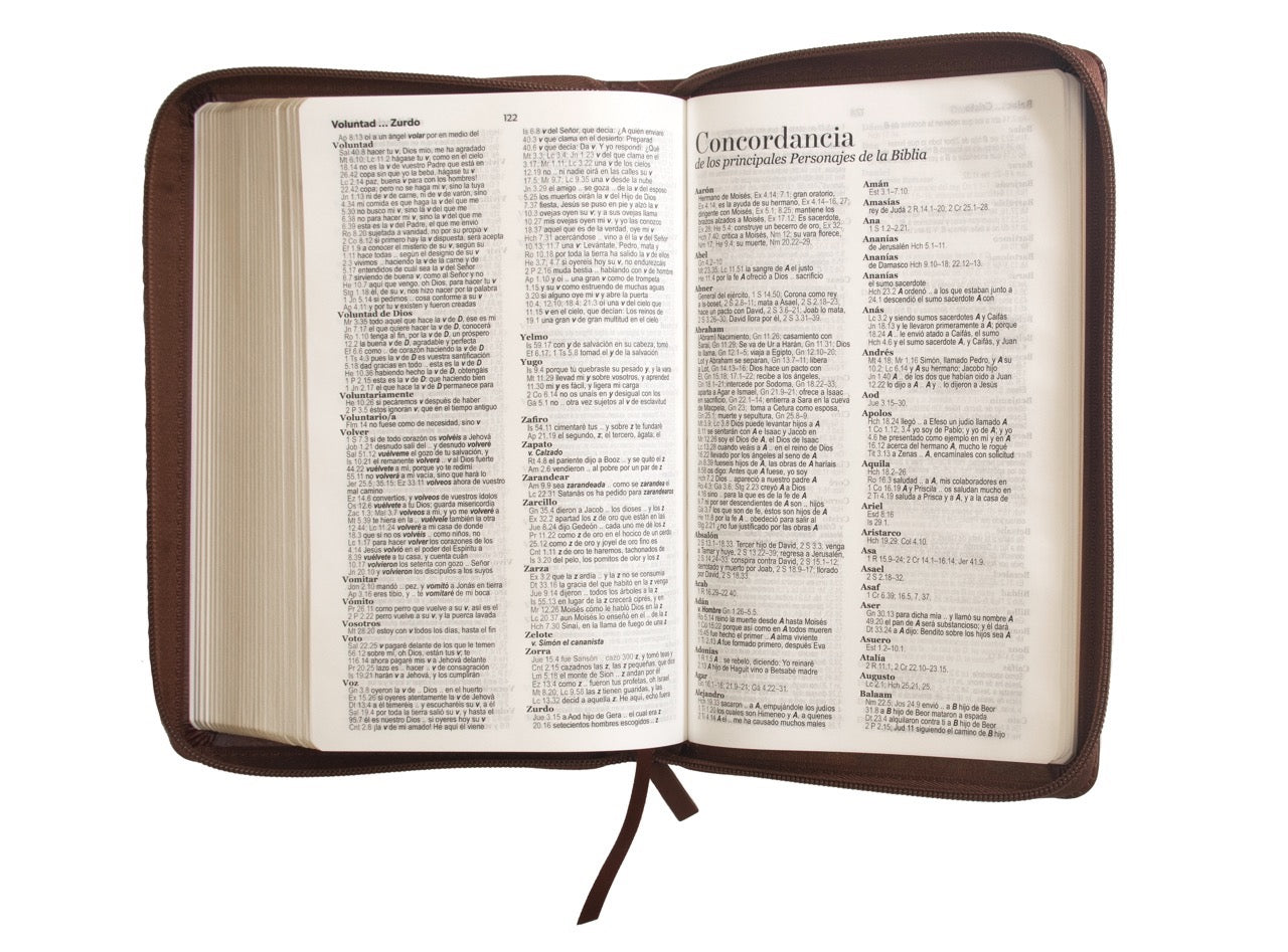 Biblia RVR60 Tamaño Manual Letra Grande café