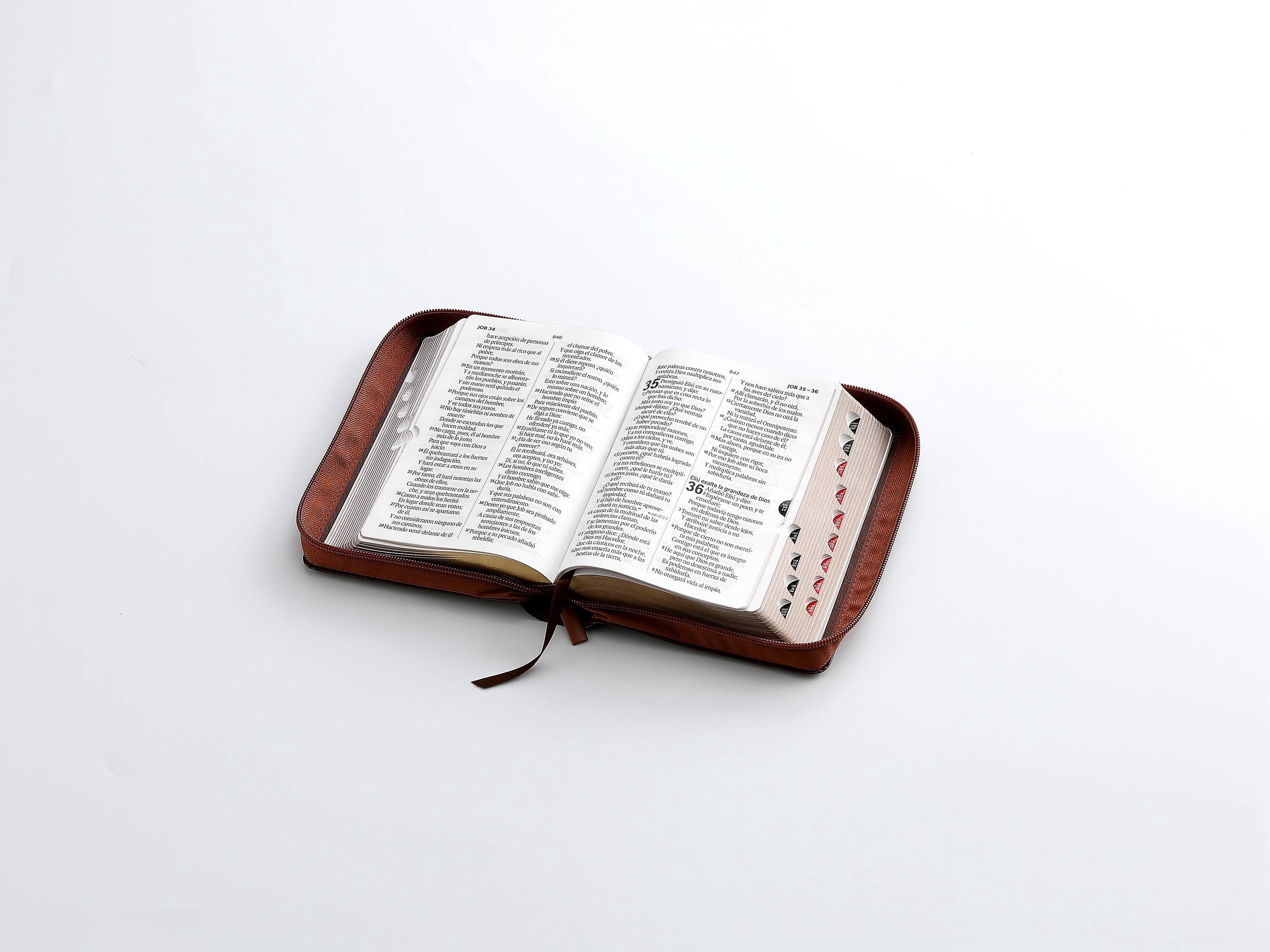 Biblia RVR60 Tamaño compacto Letra Grande 12 puntos