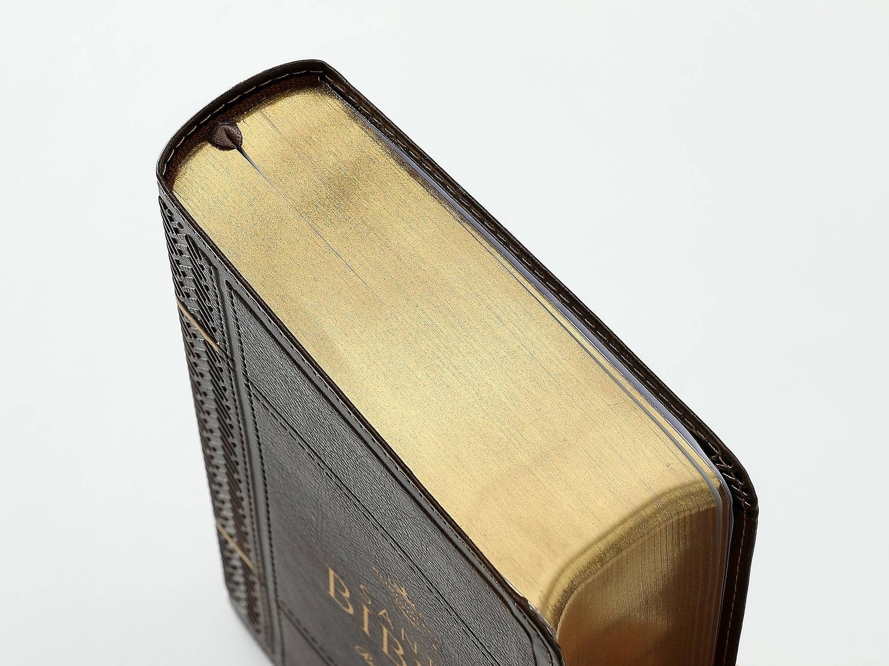 Biblia RVR60 tamaño compacto Letra Grande