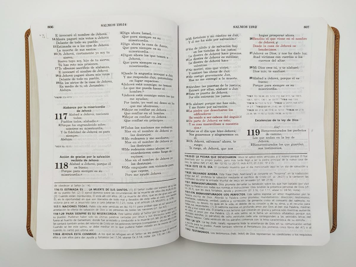 Biblia de estudio Vida Plena RVR60 Rojo Beige