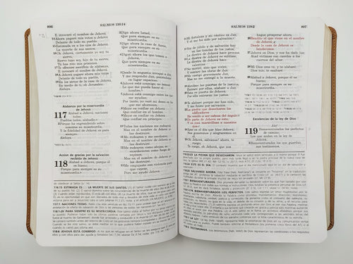 Biblia de estudio Vida Plena RVR60 Rojo Beige