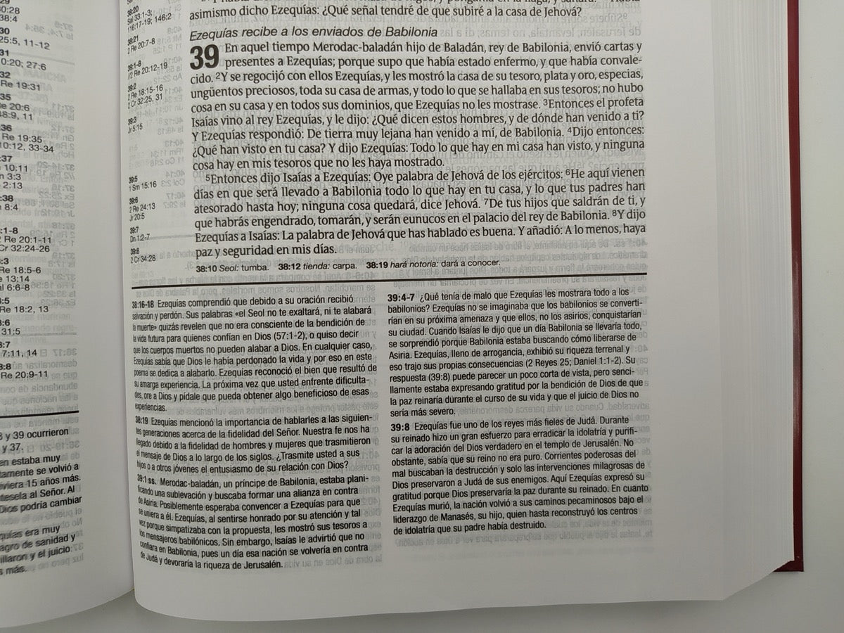 Biblia RVR 1960 de Estudio Diario Vivir Vino Tinto Tapa Dura