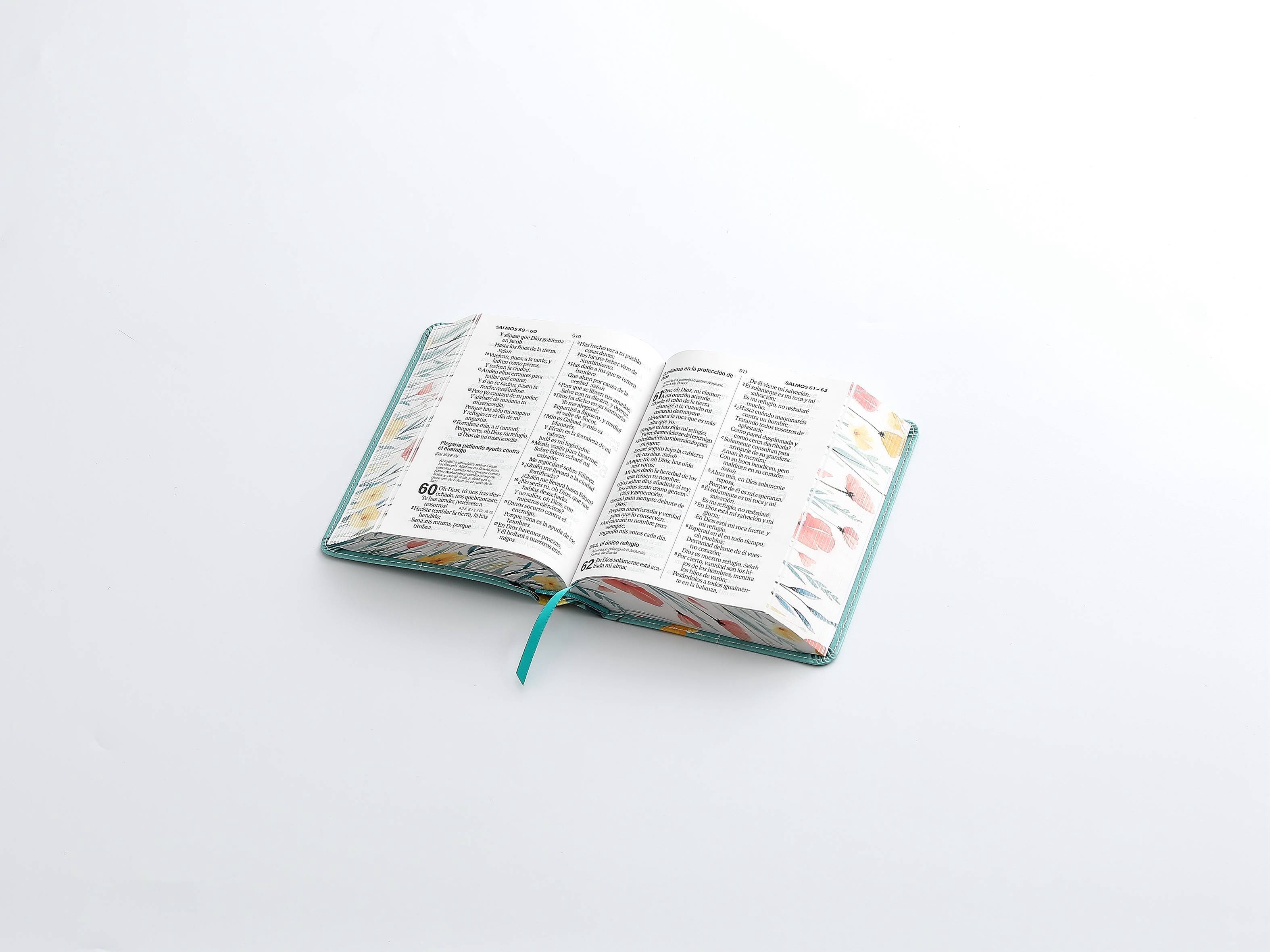 Biblia RVR60 Tamaño compacto Letra Grande 12 puntos