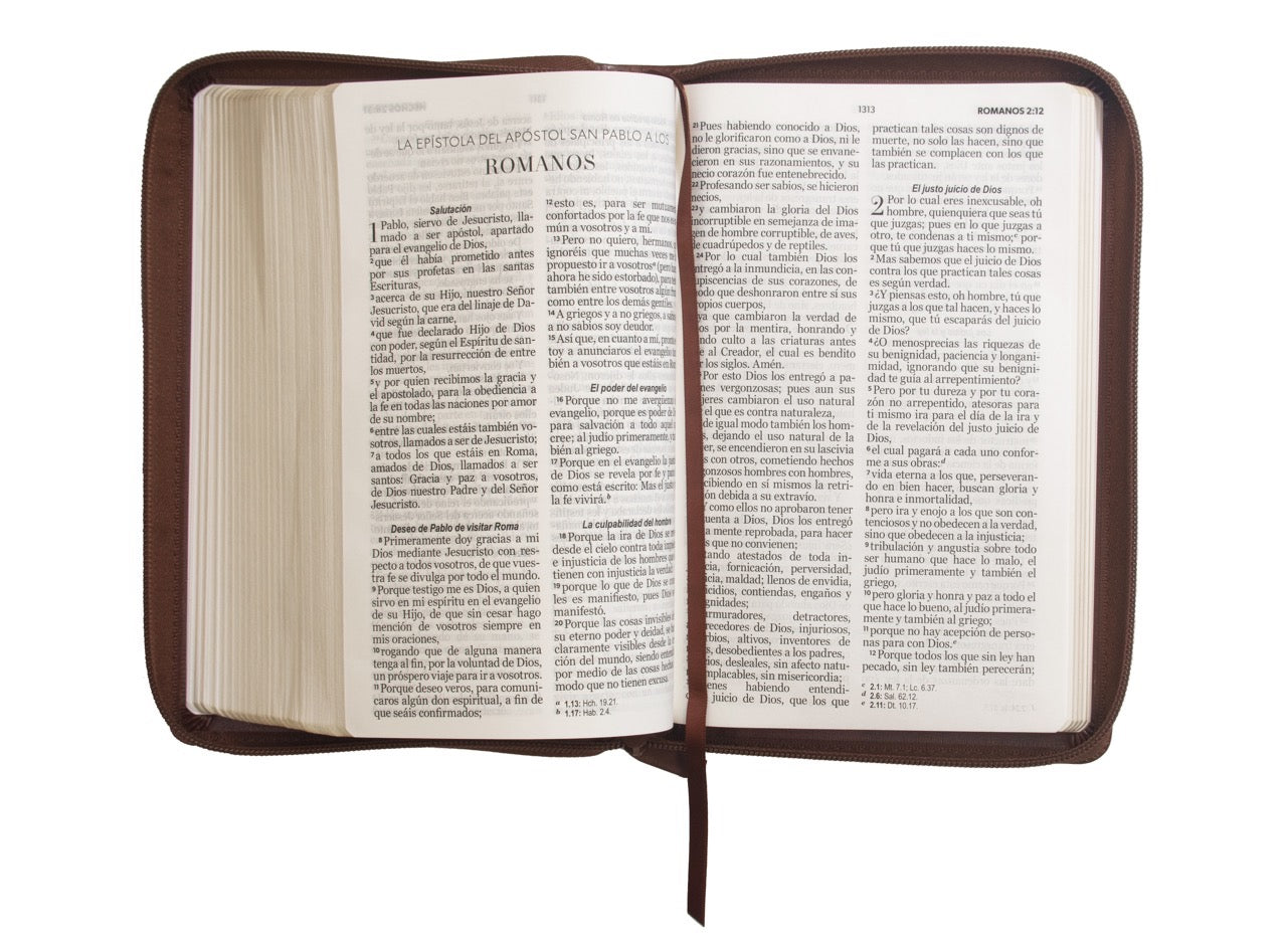 Biblia RVR60 Tamaño Manual Letra Grande café