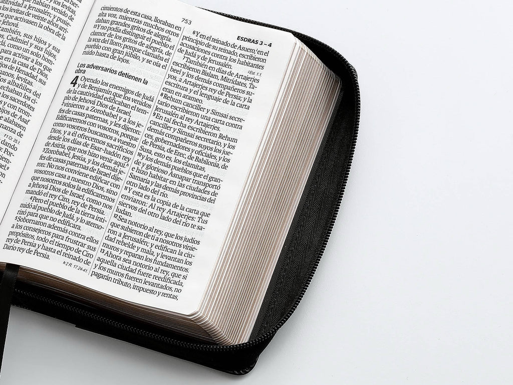 BIBLIA RVR60 PORTÁTIL LETRA GRANDE 11 PUNTOS negro
