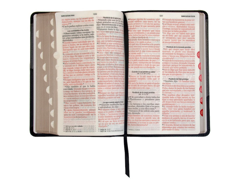 Biblia RVR60 Tamaño Manual Letra Grande negro