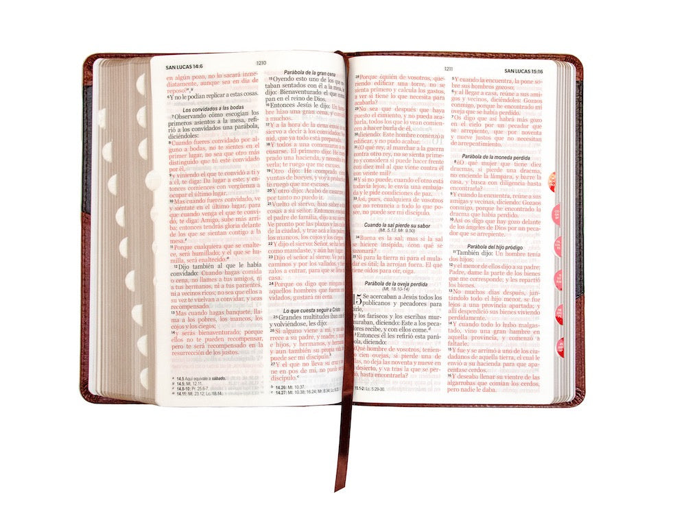 Biblia RVR60 Tamaño Manual Letra Grande marrón