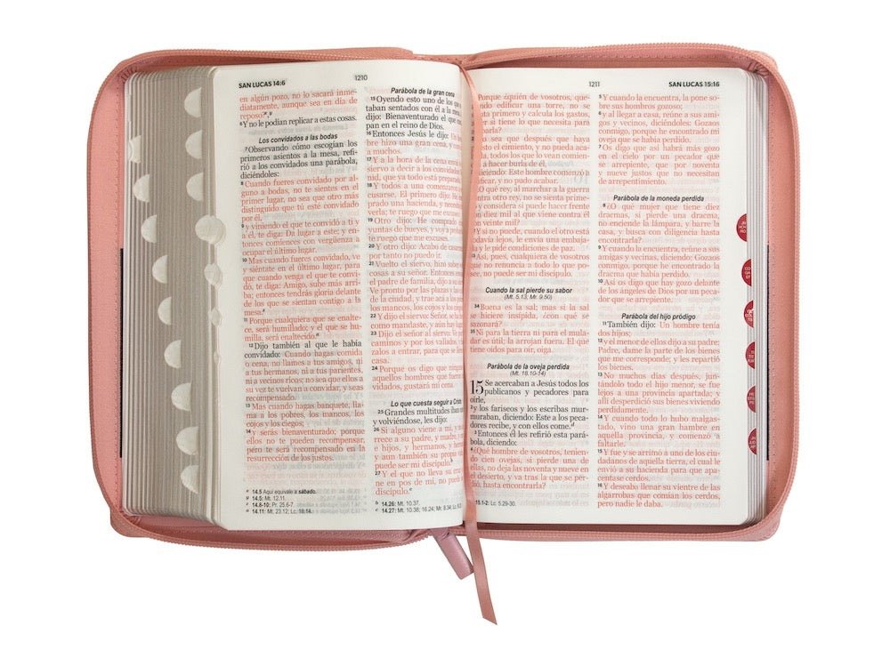 Biblia RVR60 Tamaño Manual Letra Grande