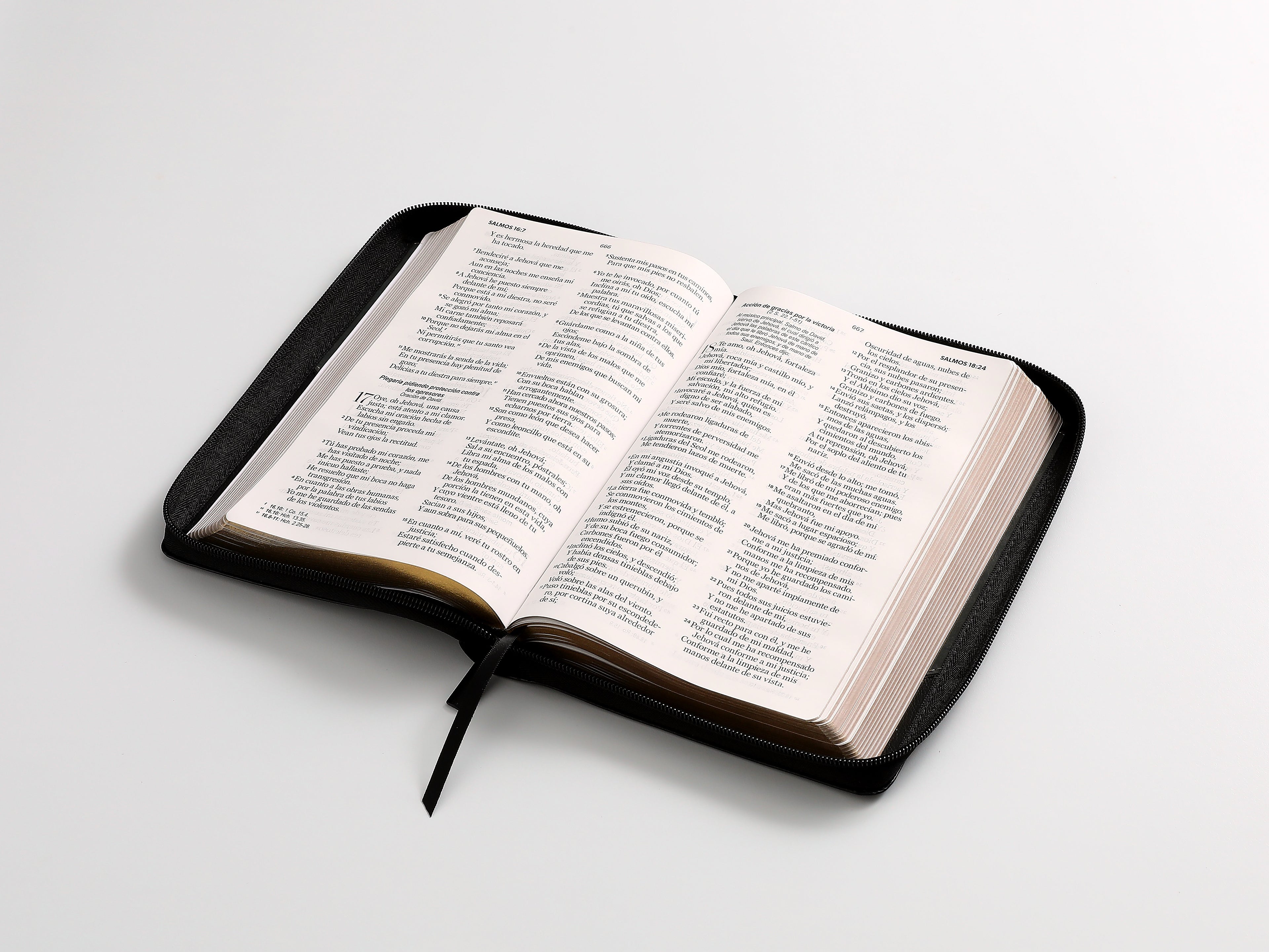 Biblia RVR60 Tamaño Manual Letra Grande  cierre