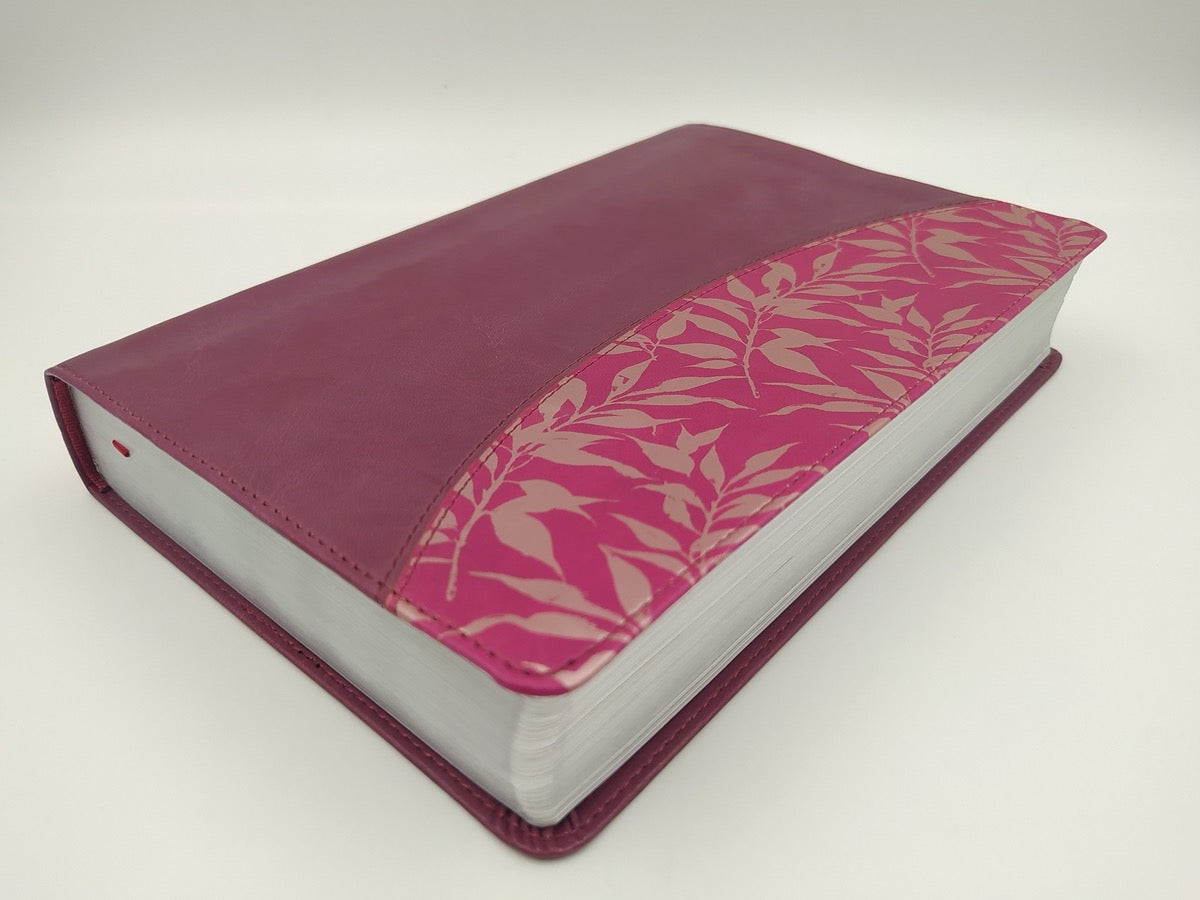 Biblia de Estudio para Mujeres RVR60 piel