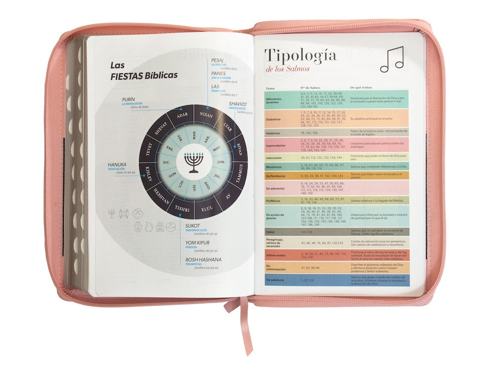 Biblia RVR60 Tamaño Manual Letra Grande