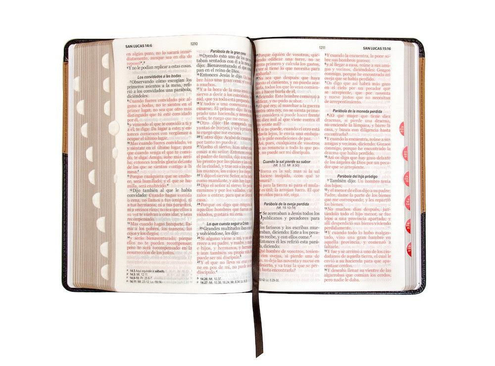 Biblia RVR60 Tamaño Manual Letra Grande café