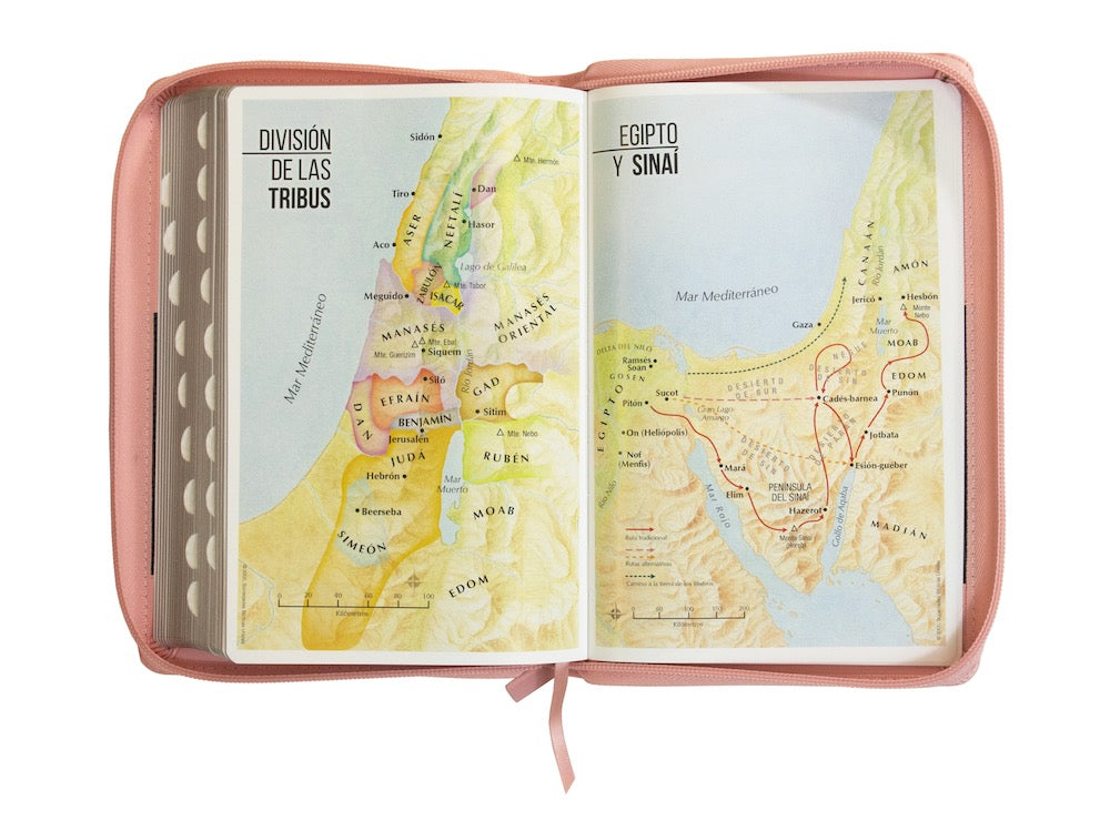 Biblia RVR60 Tamaño Manual Letra Grande