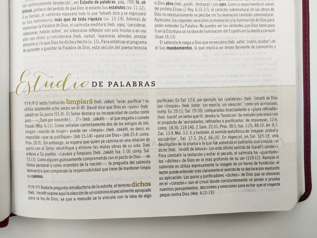 Biblia de Estudio para Mujeres RVR60 piel