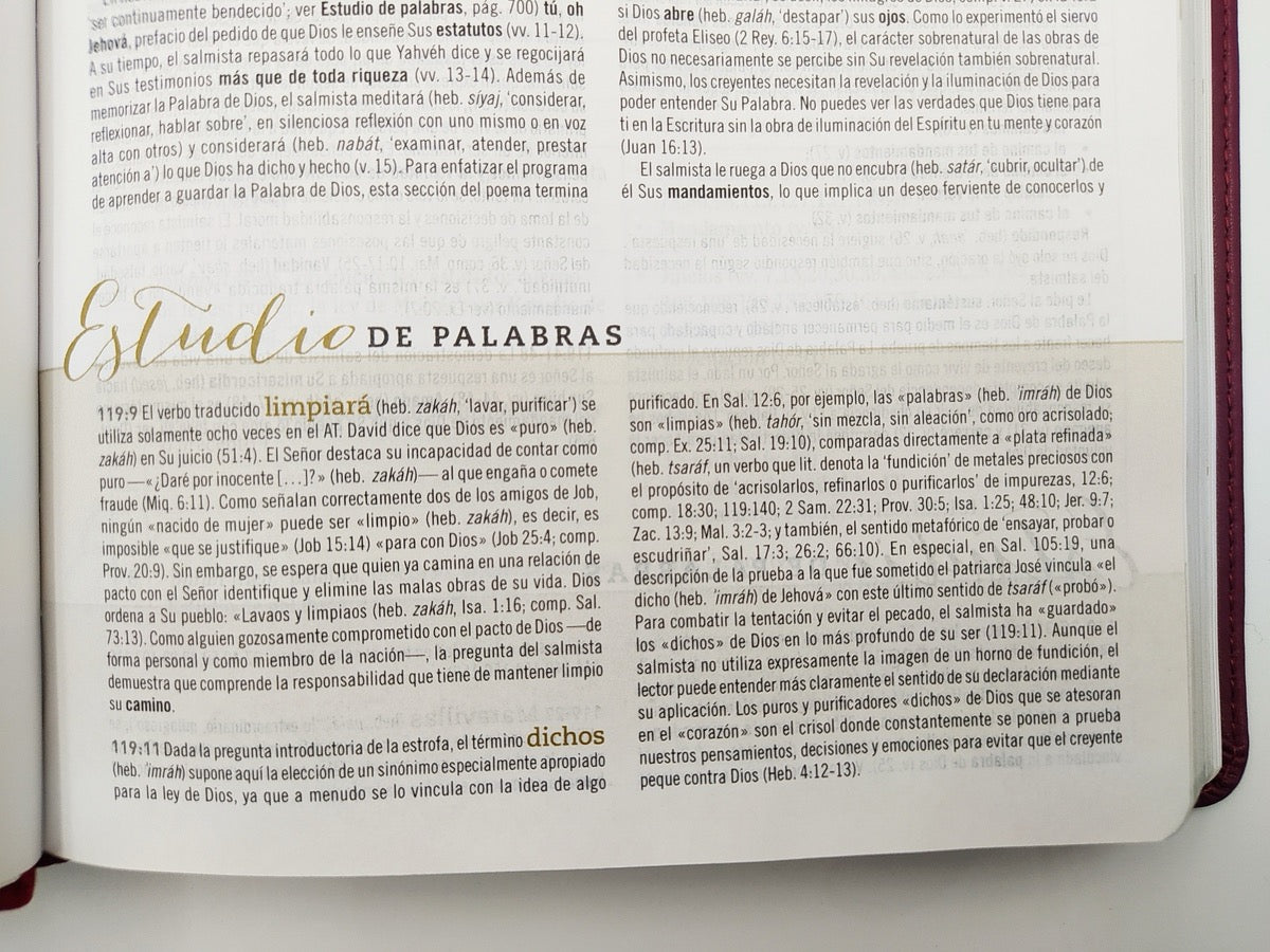 Biblia de Estudio para Mujeres RVR60 piel