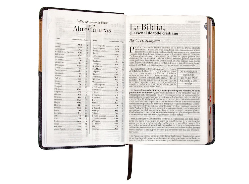 Biblia RVR60 Tamaño Manual Letra Grande café