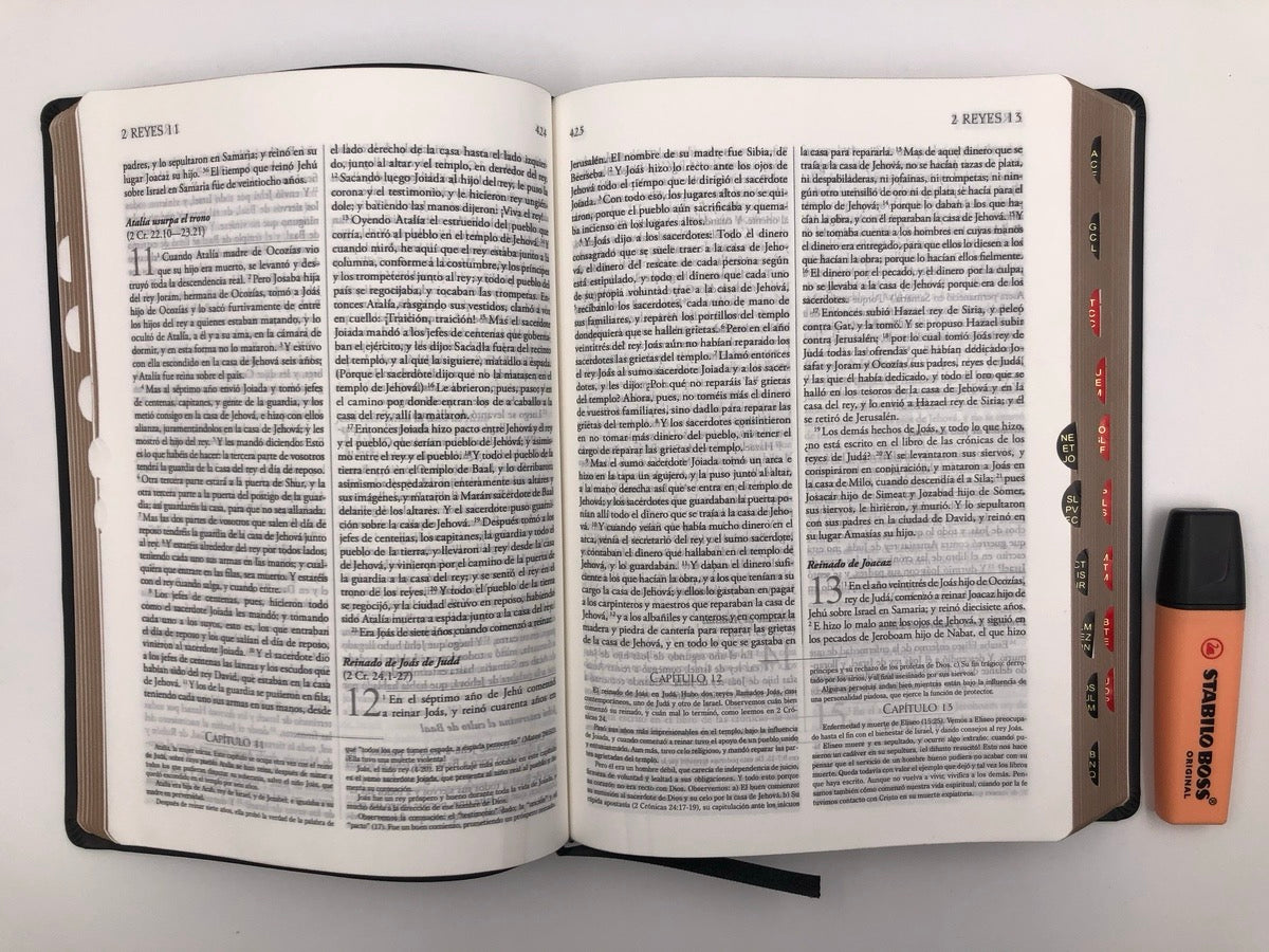 Biblia RVR 1960 de Estudio Explicada Negro