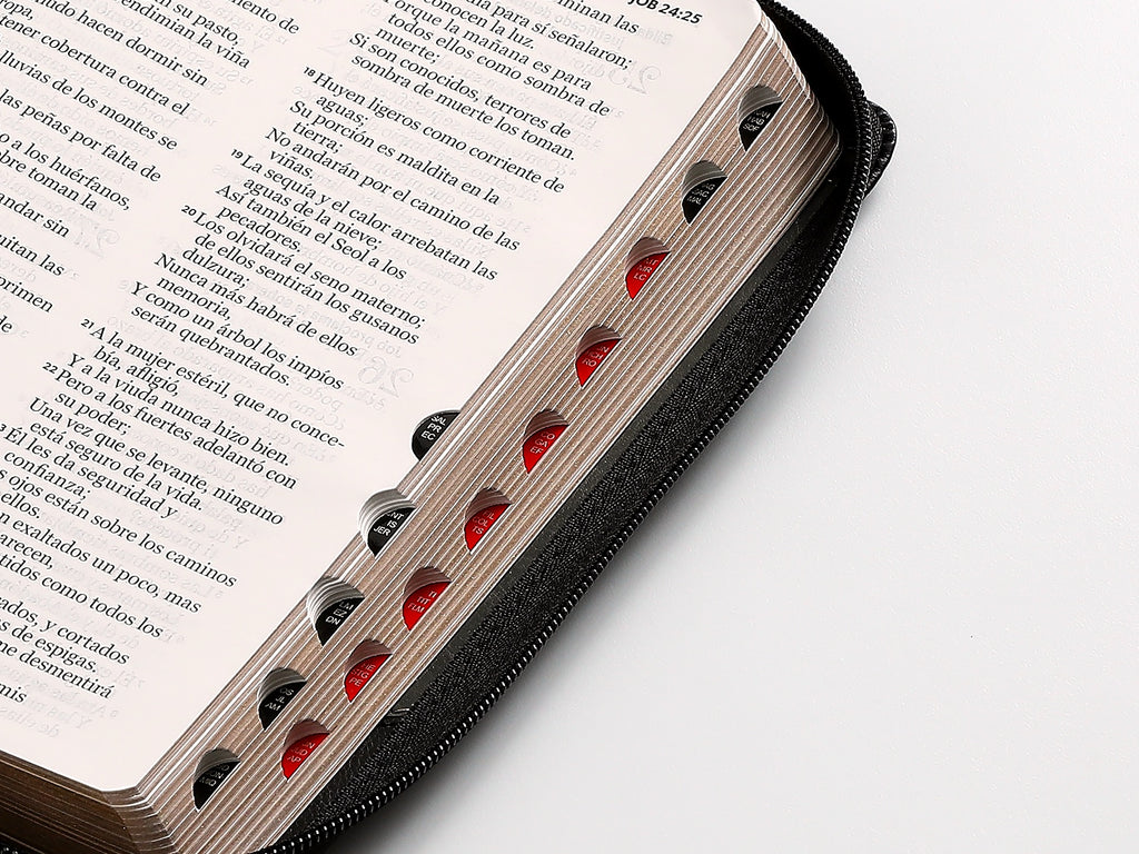 Biblia RVR60 Tamaño Manual Letra Grande con cierre indice