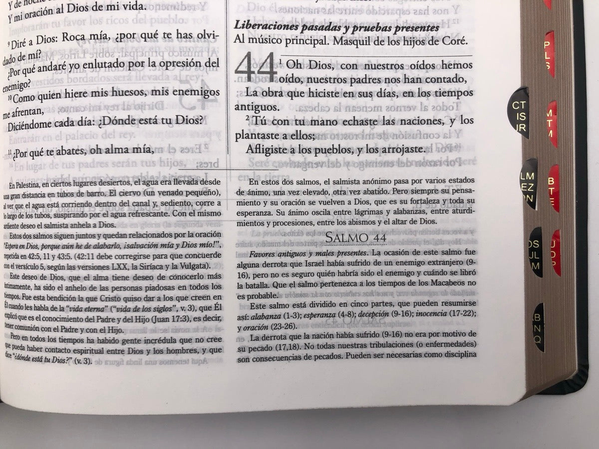 Biblia RVR 1960 de Estudio Explicada Negro