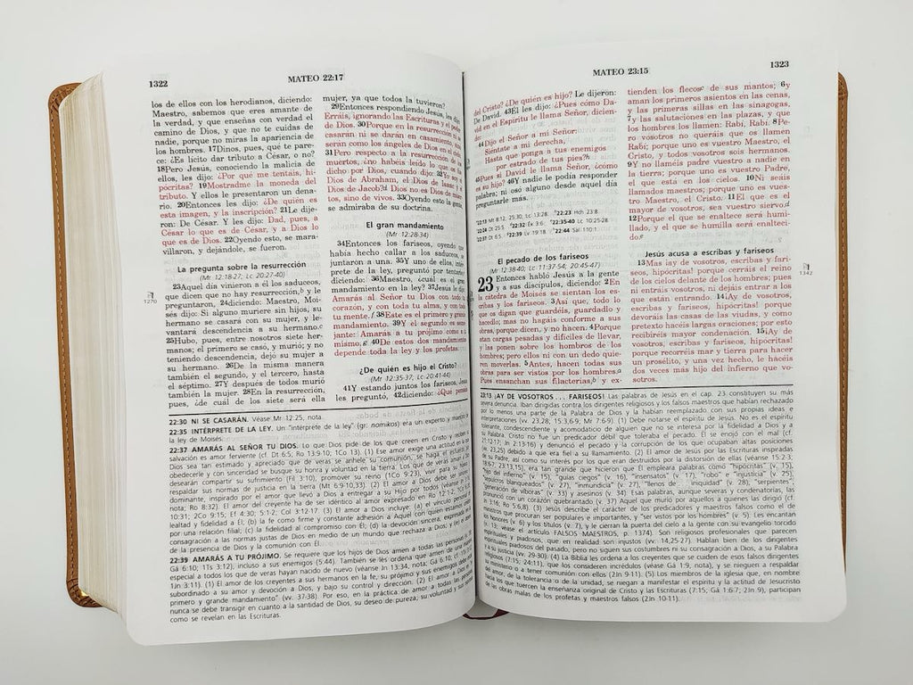 Biblia de estudio Vida Plena RVR60 Rojo Beige