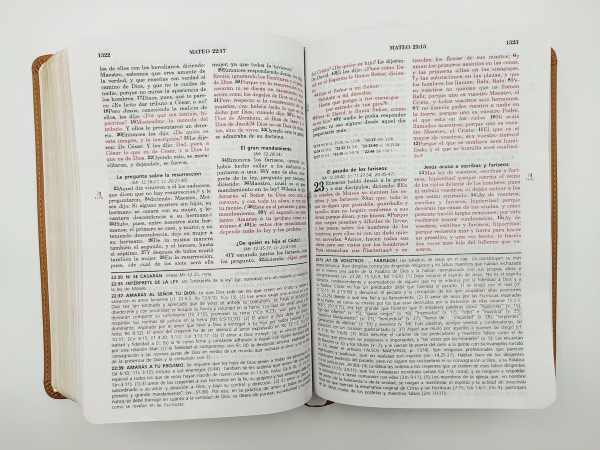 Biblia de estudio Vida Plena RVR60 Rojo Beige