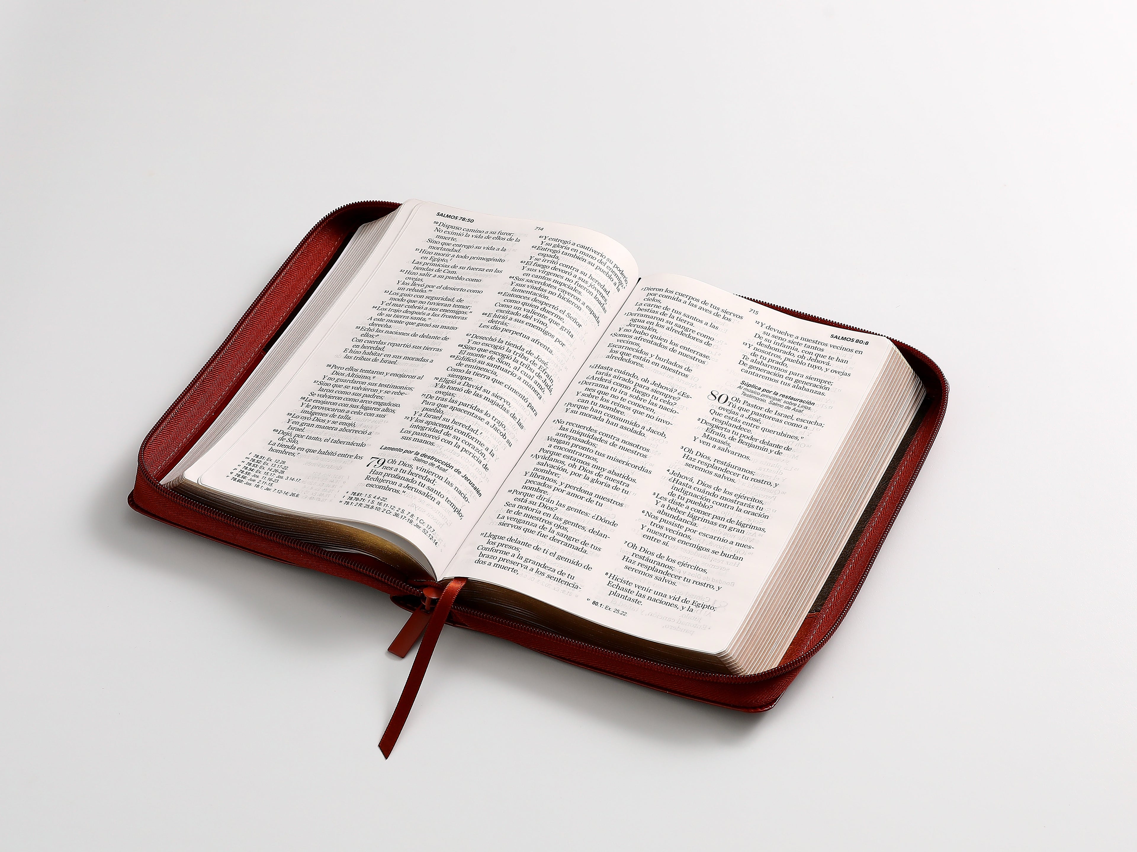 Biblia RVR60 Tamaño Manual Letra Grande marrón