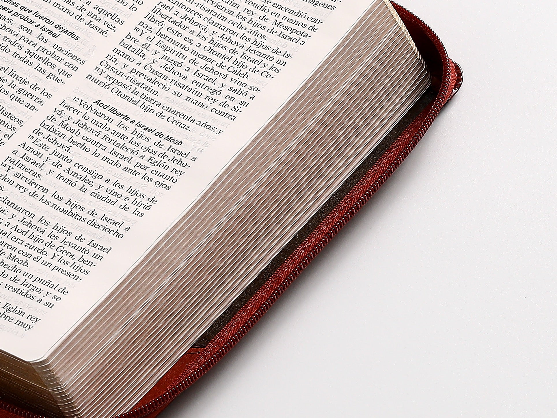 Biblia RVR60 Tamaño Manual Letra Grande marrón