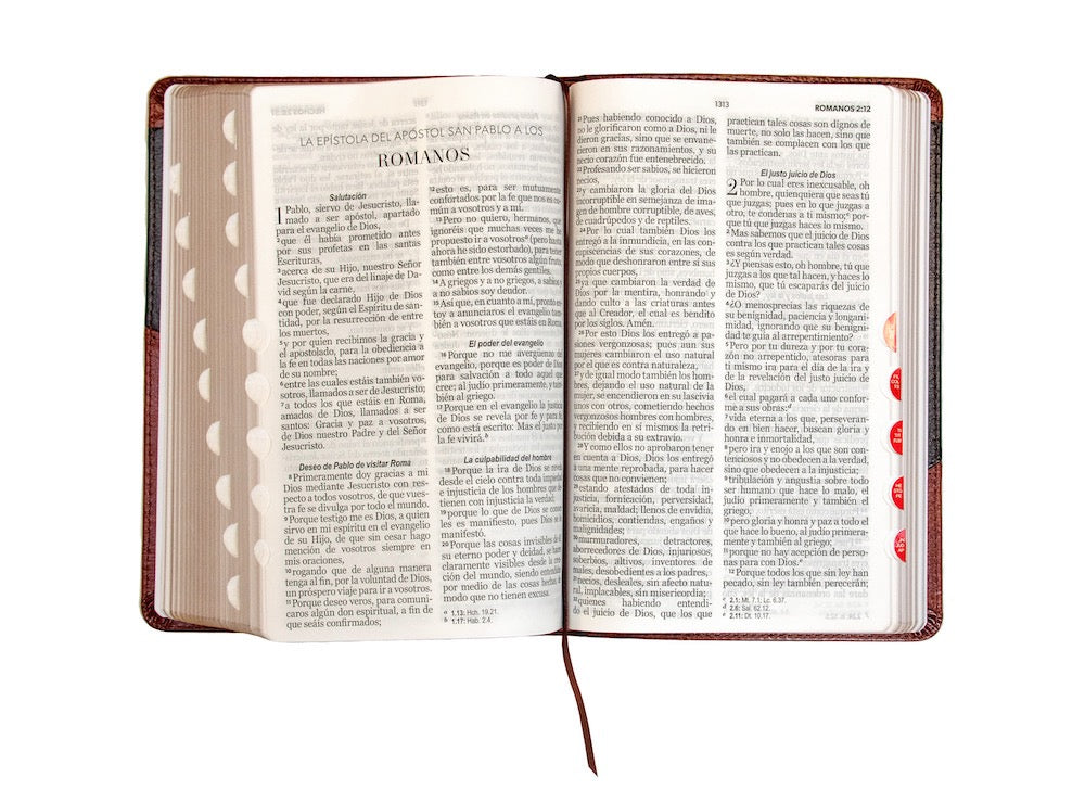 Biblia RVR60 Tamaño Manual Letra Grande marrón