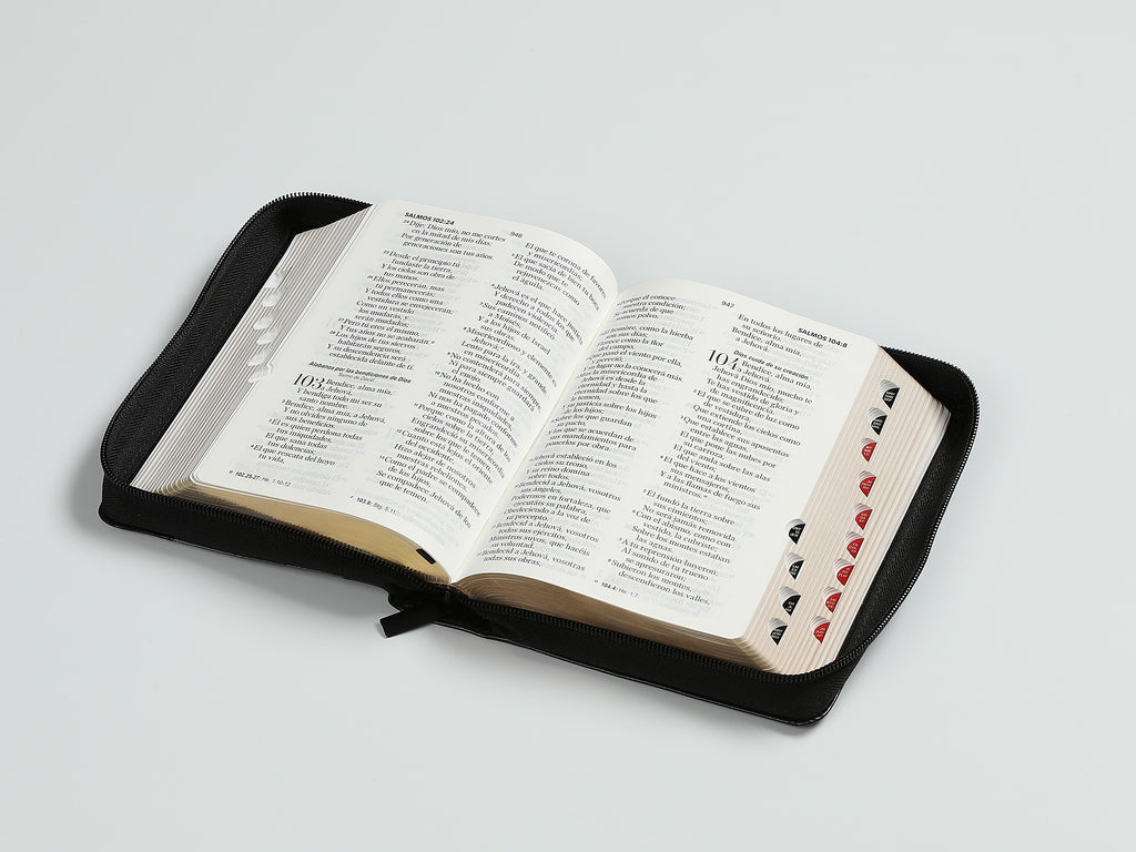 Biblia RVR60 portátil Letra Grande 11 puntos con cierre indice espada