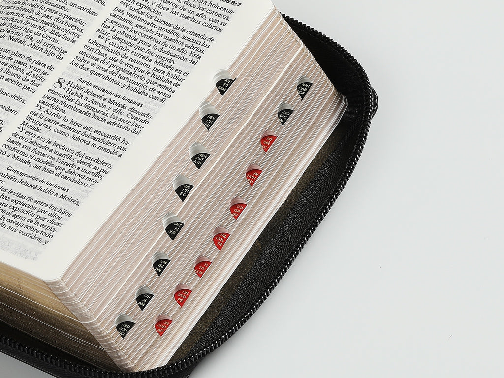 Biblia RVR60 portátil Letra Grande 11 puntos con cierre indice espada