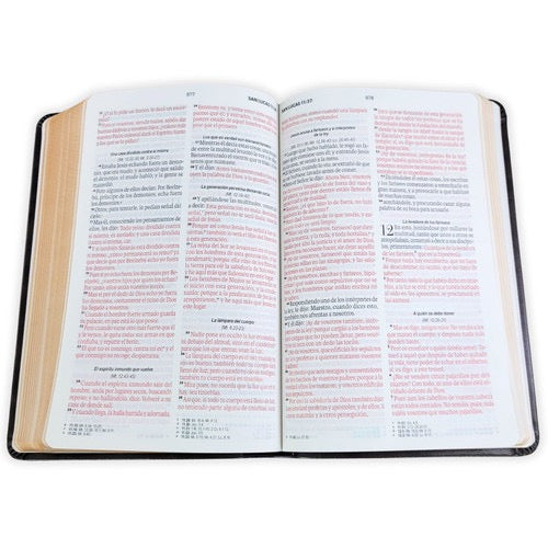 Biblia obsequios y premios RVR60 letra grande