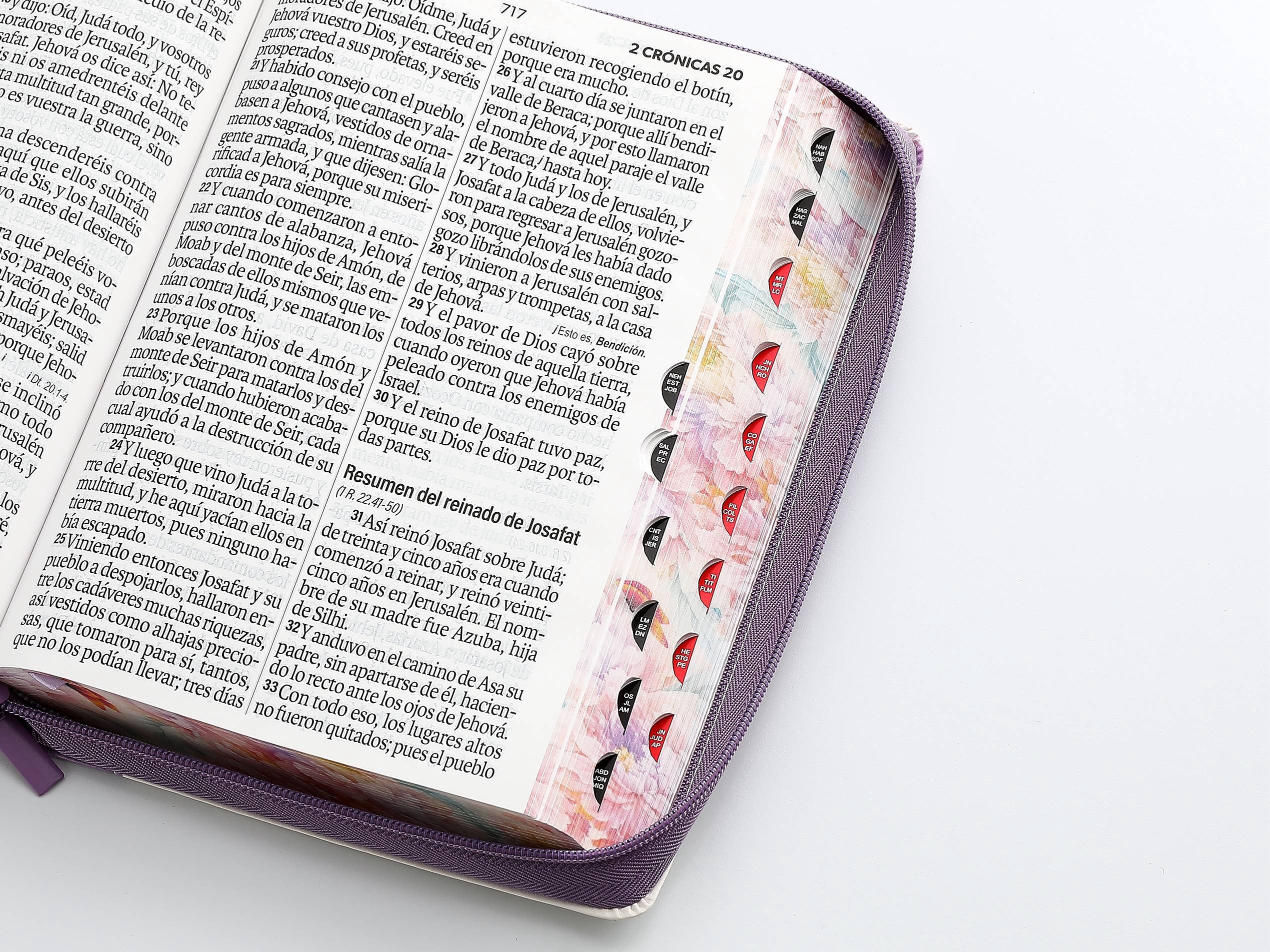 Biblia RVR60 Letra Súper Gigante i/piel jardín Lila con cierre/índice